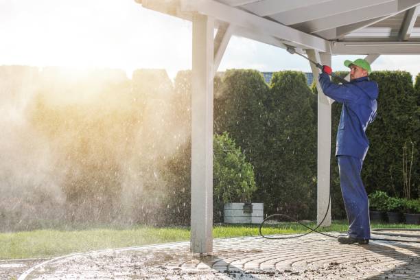 Best Soft Washing  in Palermo, CA
