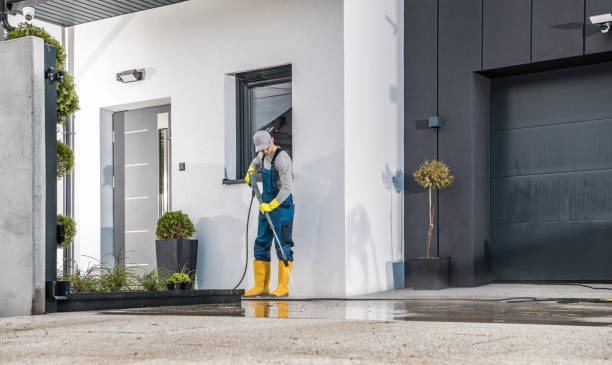 Best Solar Panel Cleaning  in Palermo, CA